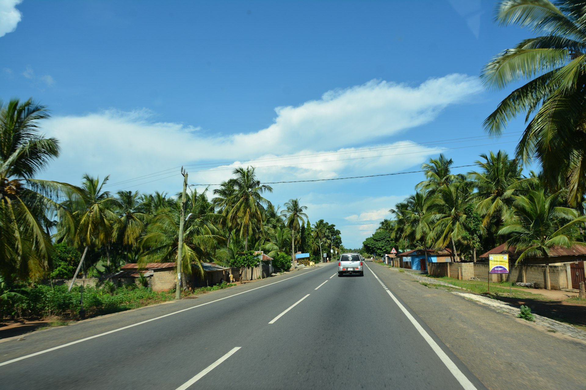 a car driving down a road surrounded by palm trees