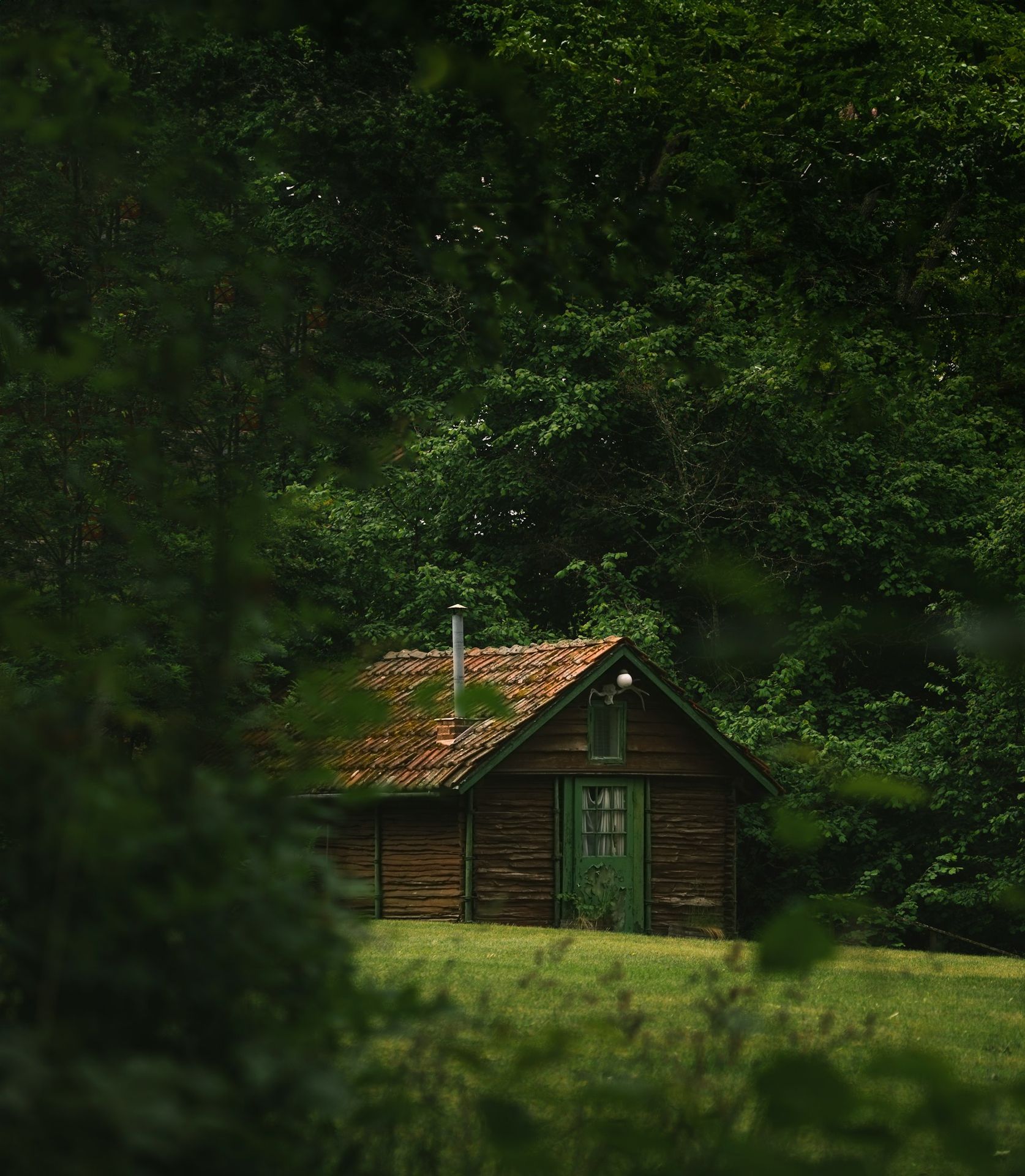 A small cabin in the middle of a forest