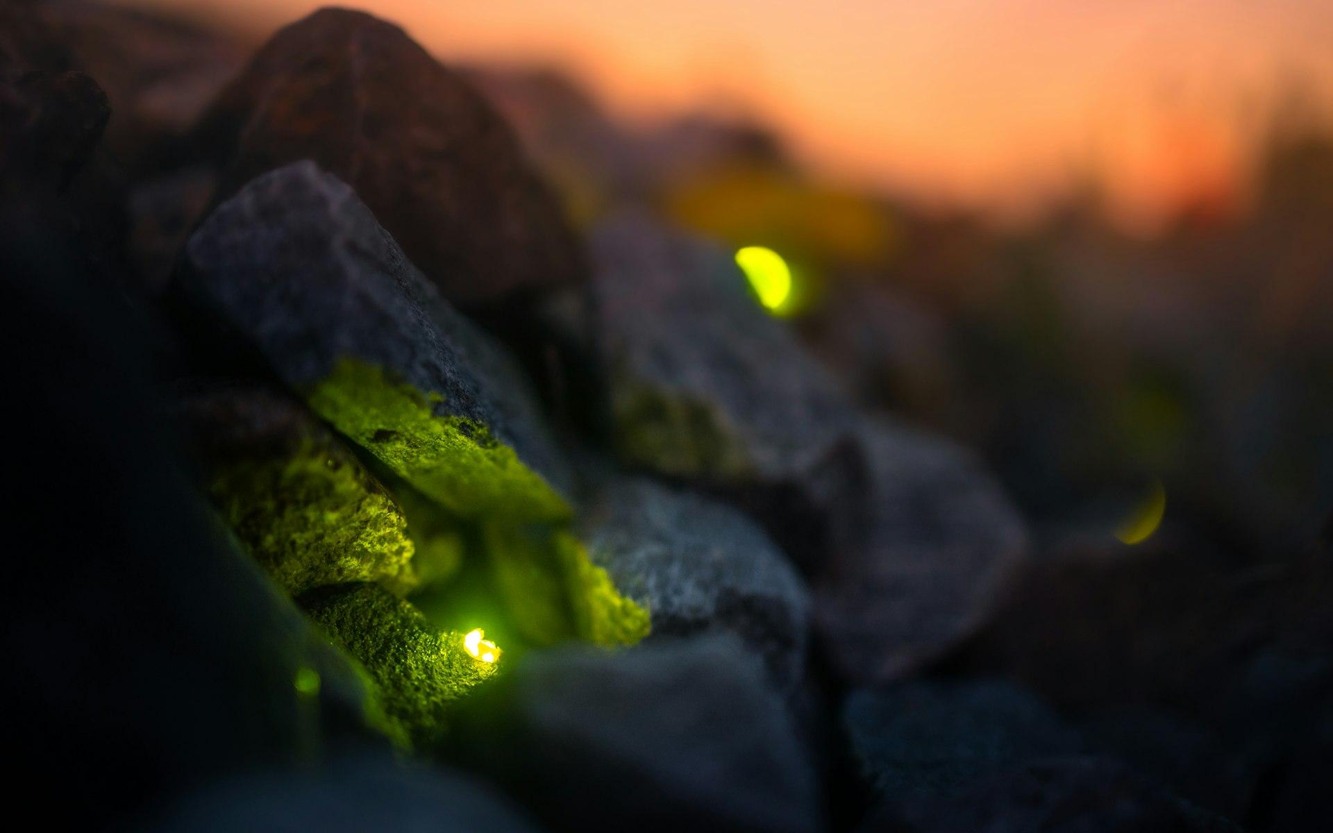 a close up of some rocks