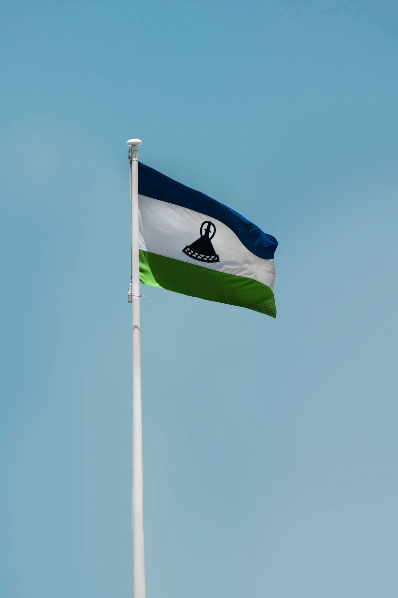 a flag on a pole