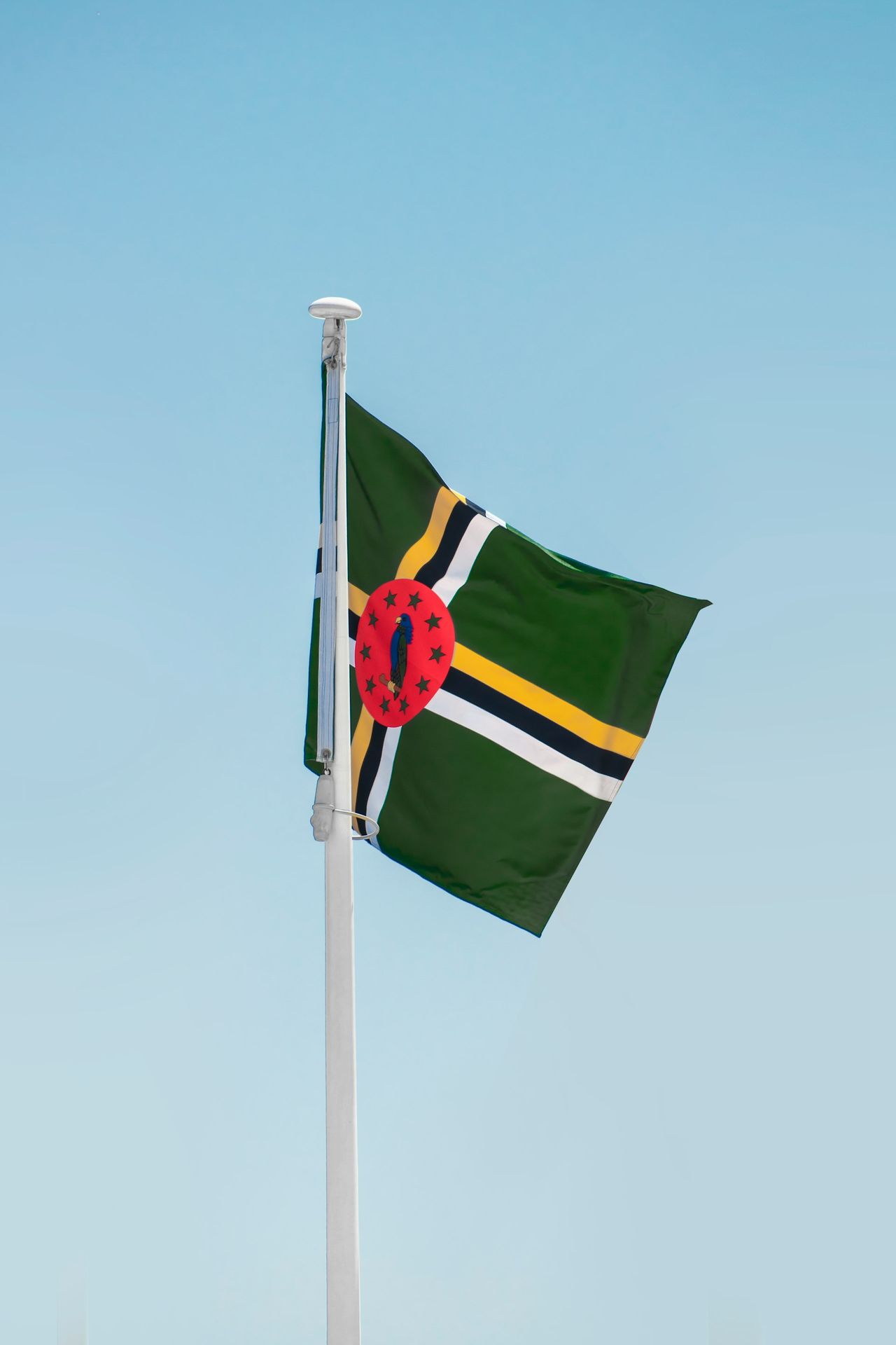 a flag on a pole
